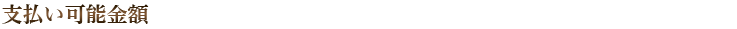 支払い可能金額