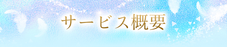 サービス概要